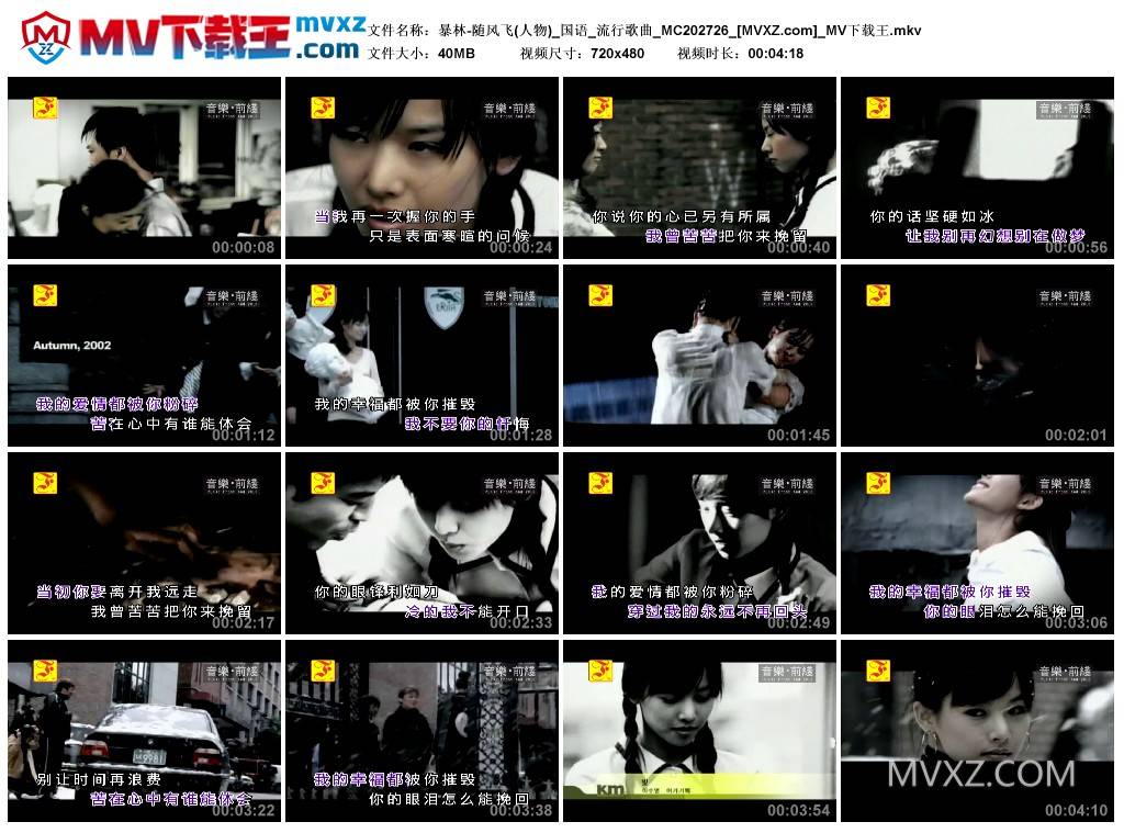 暴林-随风飞(人物)_国语_流行歌曲_MC202726